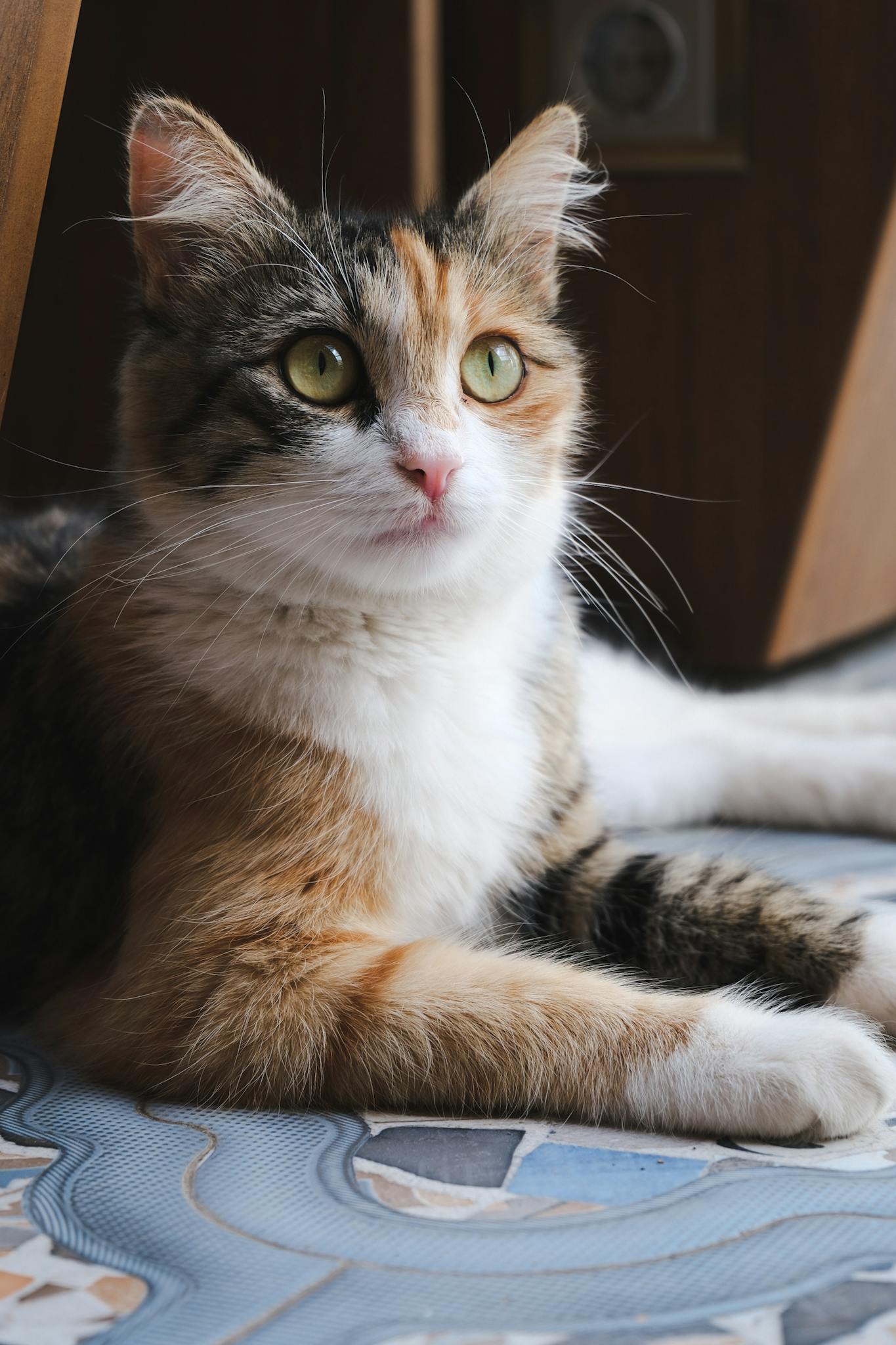 A calico cat with striking green eyes, lounging comfortably indoors on a patterned mat.